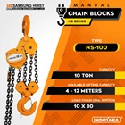 Manual Chain Block Samsung Cap NS-100 1
