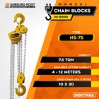 Manual Chain Block Samsung Cap NS-75 1